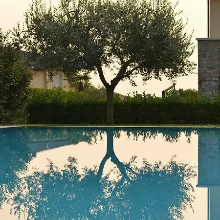 Evelyn Pool -only Family-